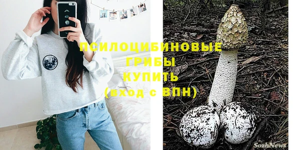 хмурый Михайловск