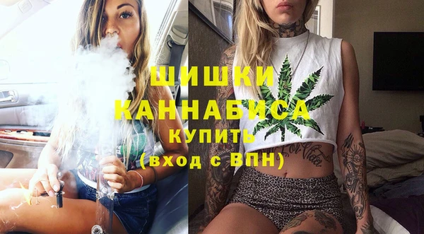 хмурый Михайловск