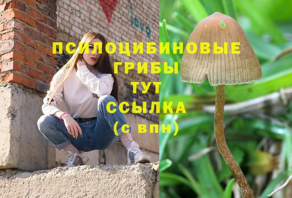 спиды Михайловка