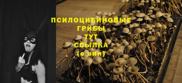 МДПВ Медногорск