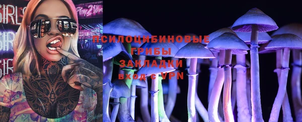 хмурый Михайловск