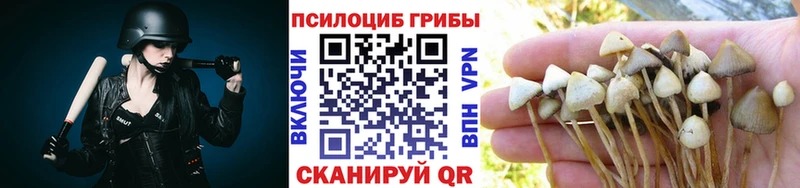 цена   Волжский  blacksprut сайт  Галлюциногенные грибы прущие грибы 