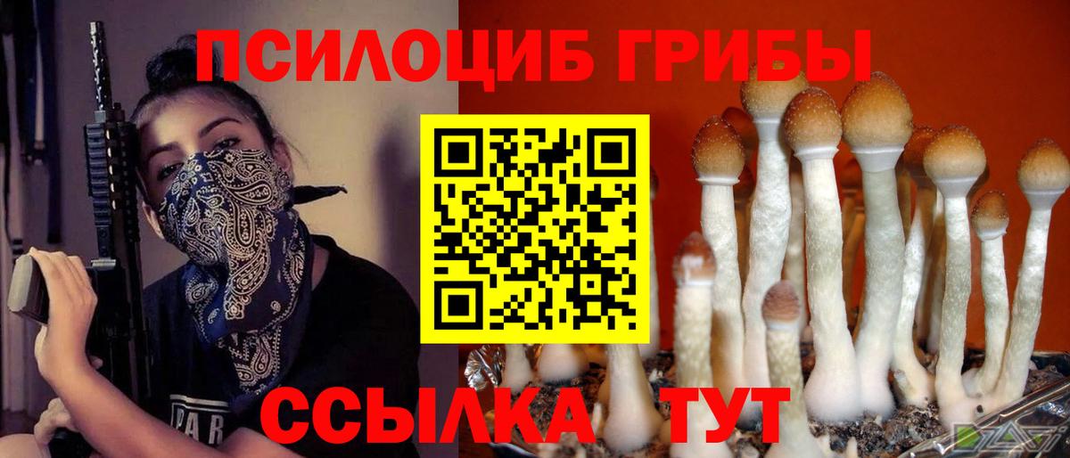 наркота  Волжский  Псилоцибиновые грибы Magic Shrooms 