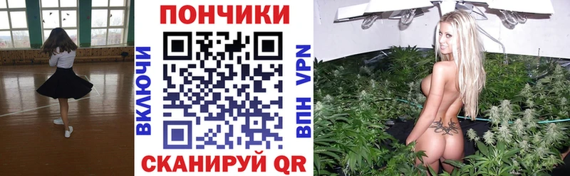 Каннабис ГИДРОПОН  Волжский 
