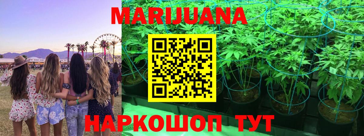 Конопля OG Kush Волжский